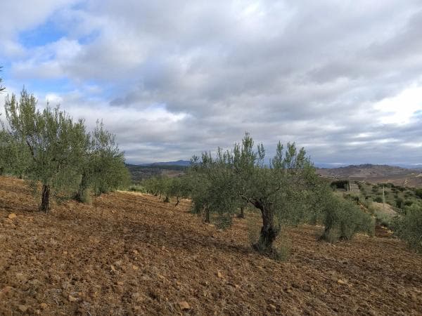 Terreno en camino Malaga s/n photo 1