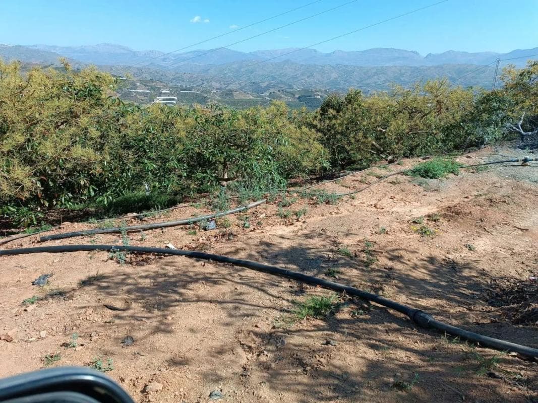 Terreno en venta en Iznate, Malaga photo 2