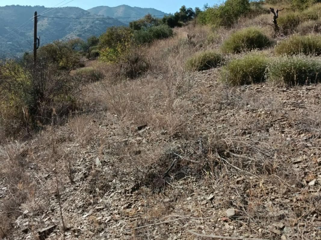 Terreno en venta en Totalan, Malaga photo 2
