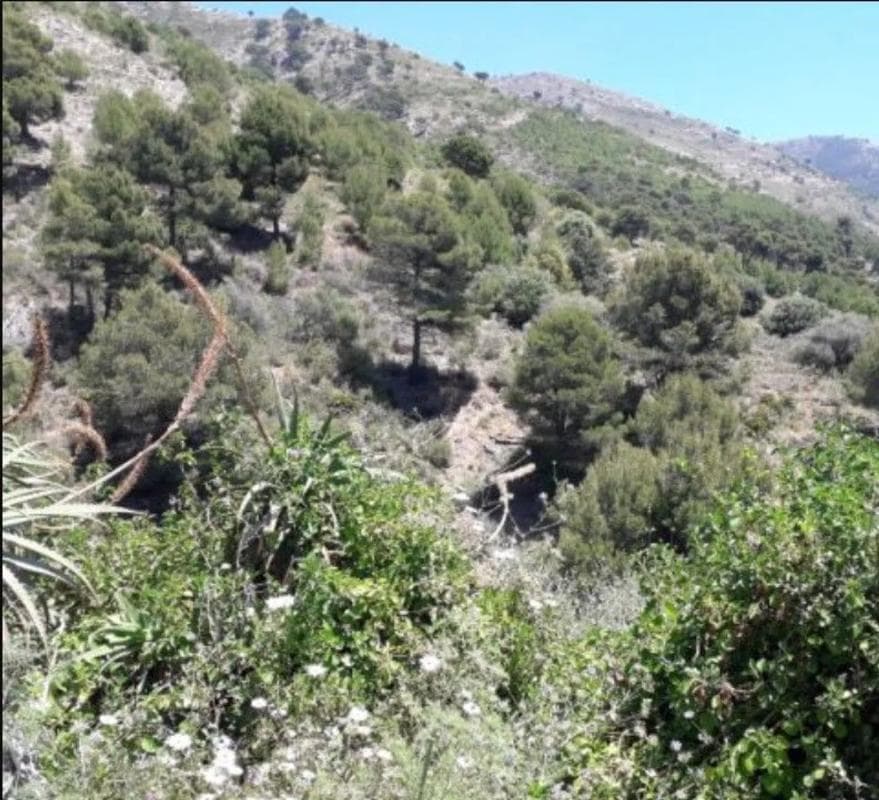 Terreno en venta en Mijas, Malaga photo 5