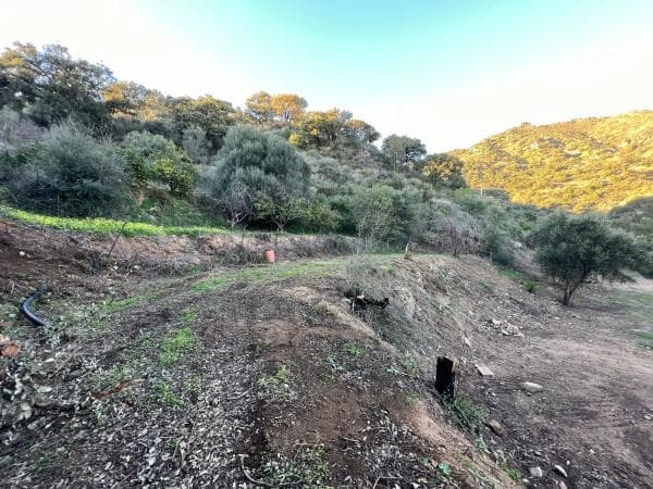 Terreno en Cordobachina photo 1