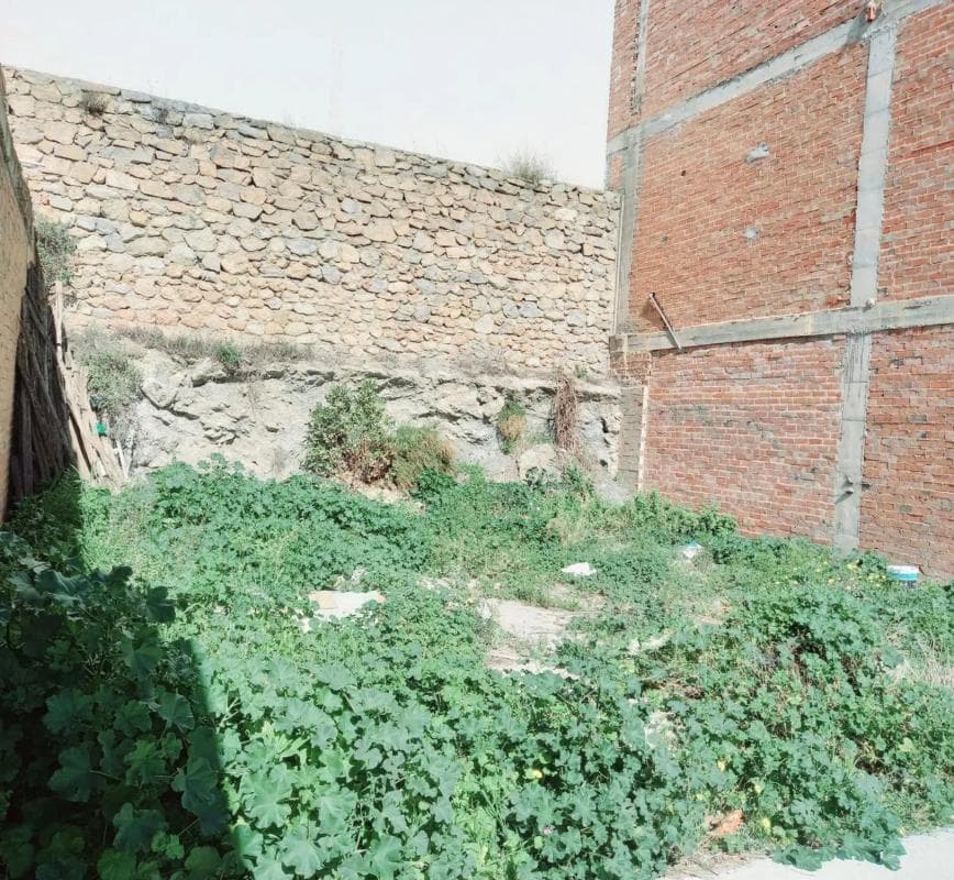 Terreno en venta en Canillas de Aceituno, Malaga photo 2