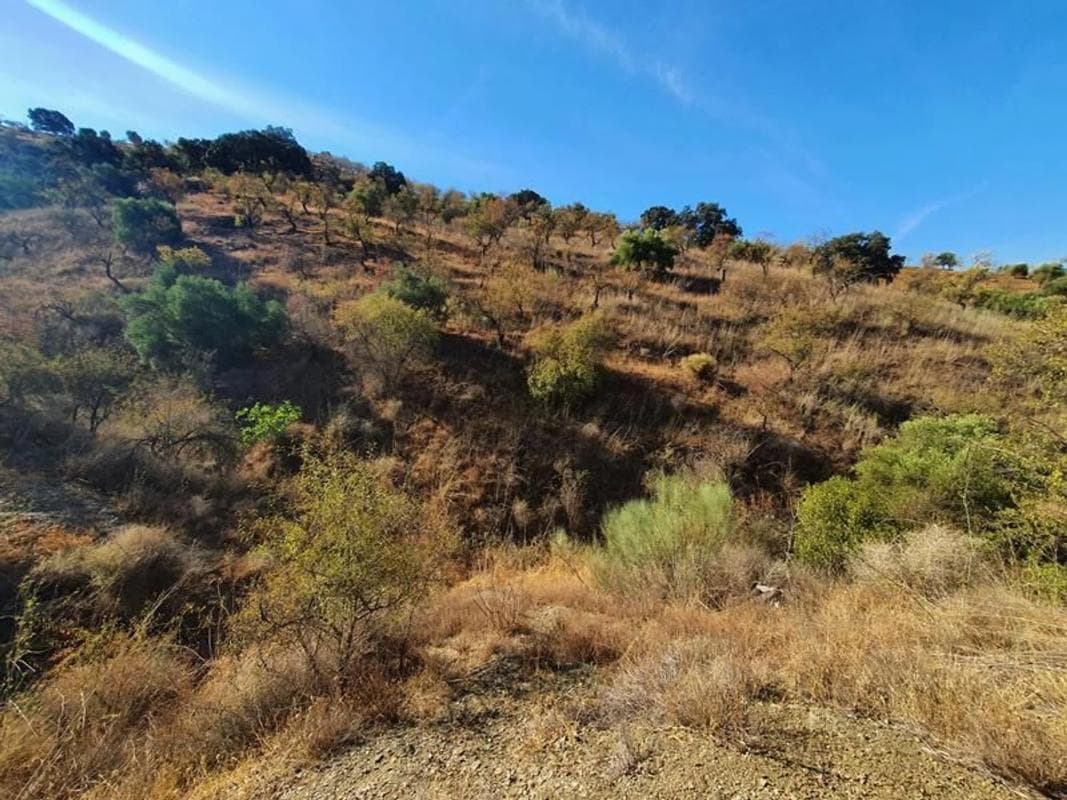 Terreno en venta en Almogía, Malaga photo 4