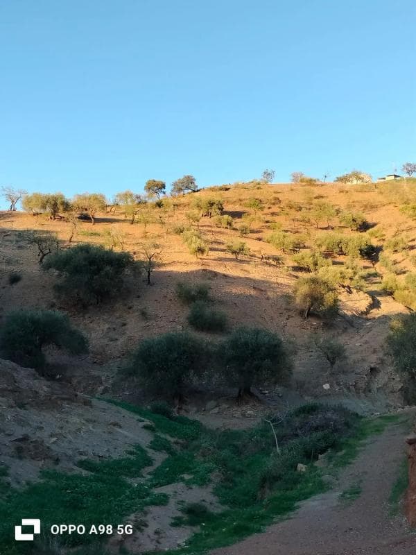 Terreno en venta en Villanueva de la Concepcion, Malaga photo 2