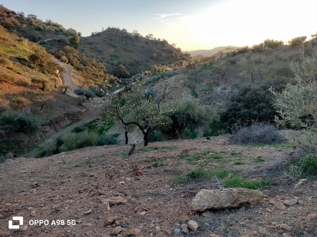 Terreno en venta en Villanueva de la Concepcion, Malaga photo 4
