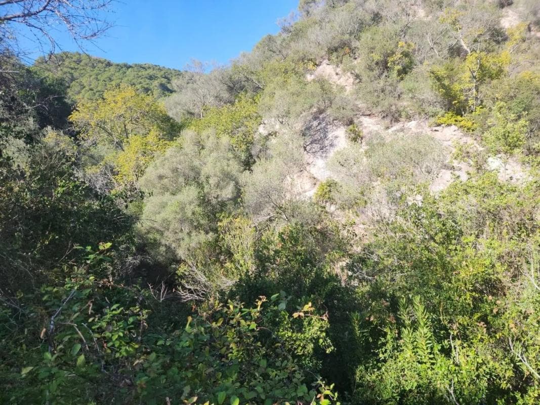 Terreno en venta en Gaucin, Malaga photo 3