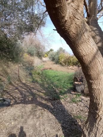 Terreno en carretera de la Dehesa Alta s/n thumbnail 2