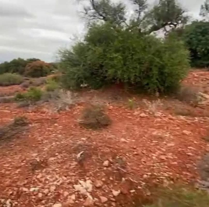 Terreno en venta en Alhaurín el Grande, Malaga photo 3