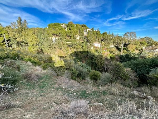 Terreno en calle santa rosa s/n thumbnail 2