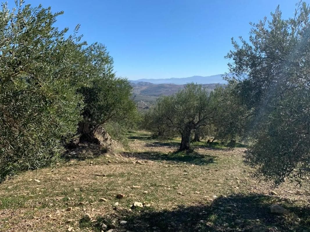Terreno en venta en Casarabonela, Malaga photo 4