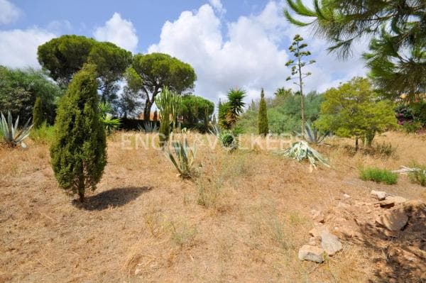 Terreno en paseo de Suecia photo 1