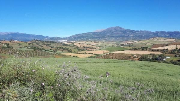 Terreno en camino Rural Río Grande, km 3 photo 1
