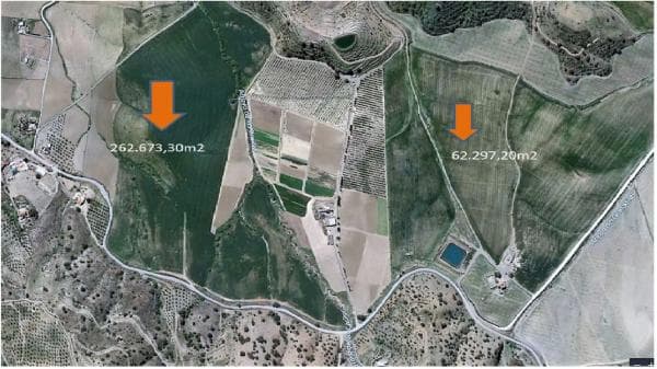 Terreno en camino de Gibralgalia photo 1