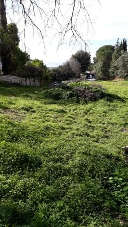 Terreno en Santa Rosa s/n thumbnail 1