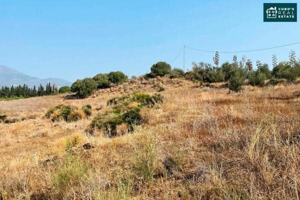 Terreno en Arroyo de Cazalla s/n photo 1