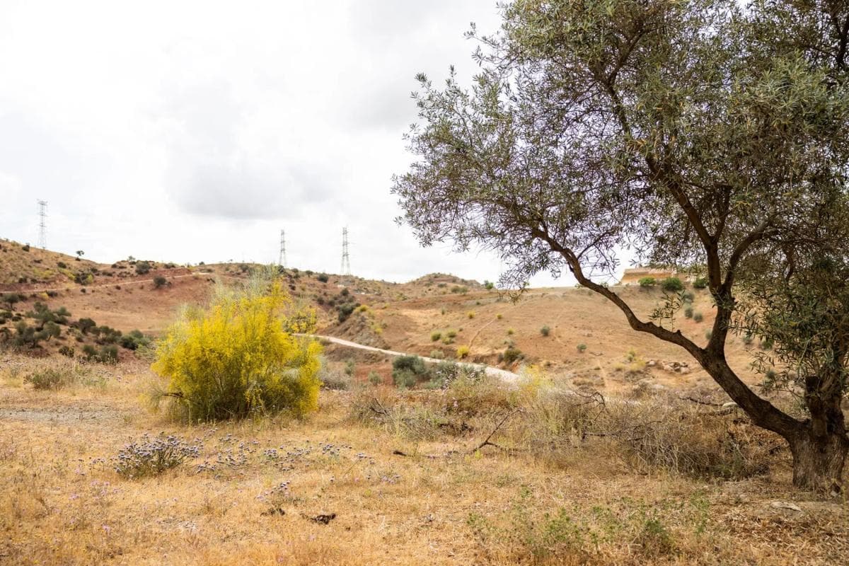 Terreno en venta en Cártama, Malaga photo 2