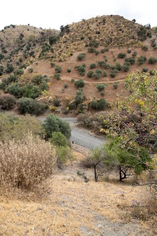 Terreno en venta en Cártama, Malaga photo 3