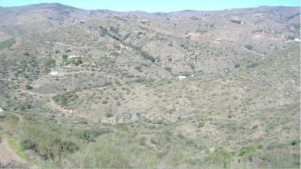 Terreno en Arroyo De Jaboneros thumbnail 1