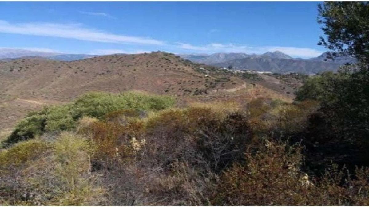 Land for sale in Torrox, Malaga photo 2