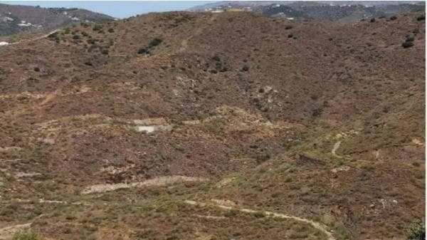 Terreno en Cerro Largo photo 4