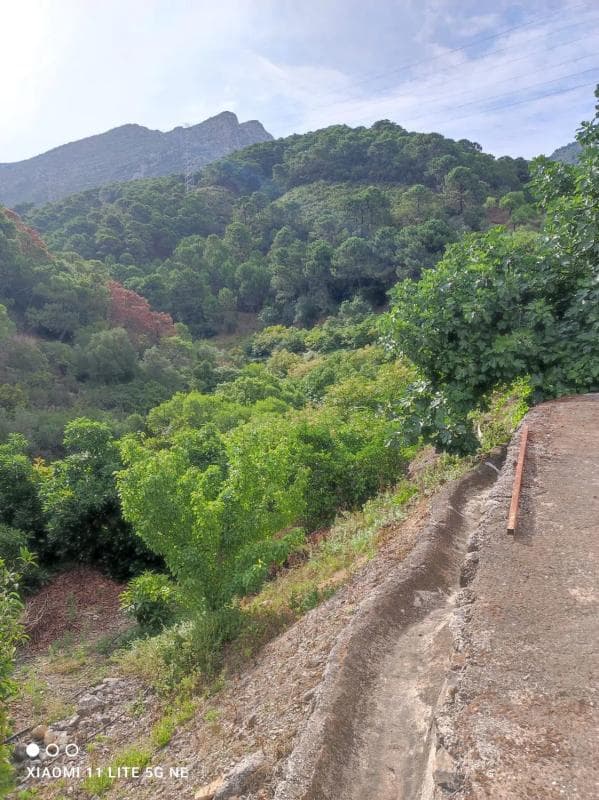 Terreno en venta en Istan, Malaga photo 4