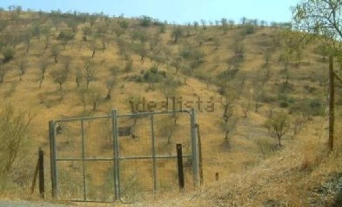 Terreno en venta en Almogía, Malaga photo 2
