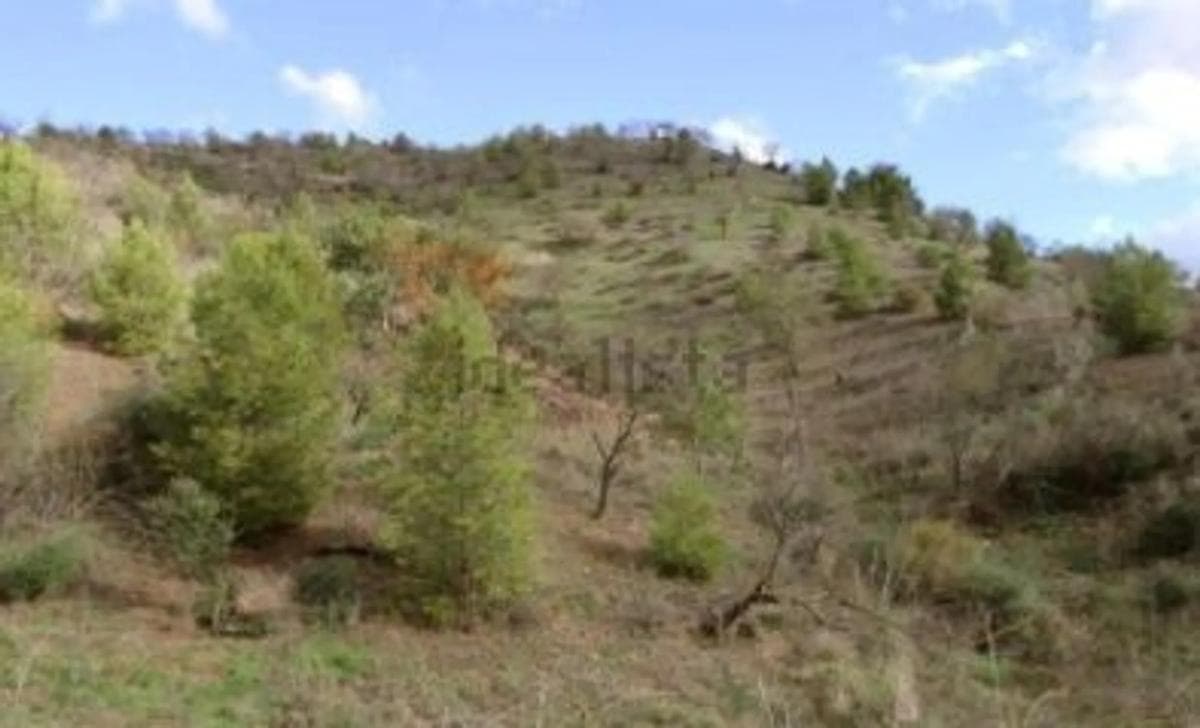 Terreno en venta en Almogía, Malaga photo 3