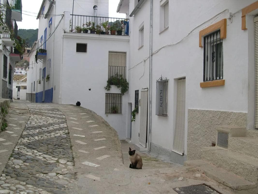 Terreno en venta en Igualeja, Malaga photo 3