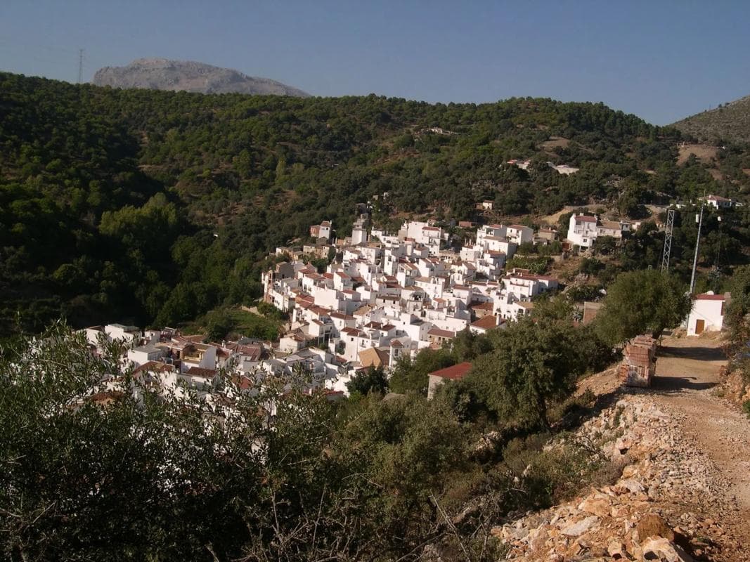 Terreno en venta en Igualeja, Malaga photo 4