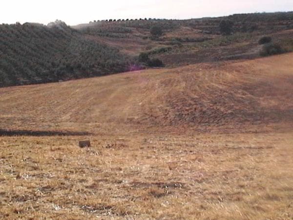 Terreno en Río grande s/n thumbnail 1