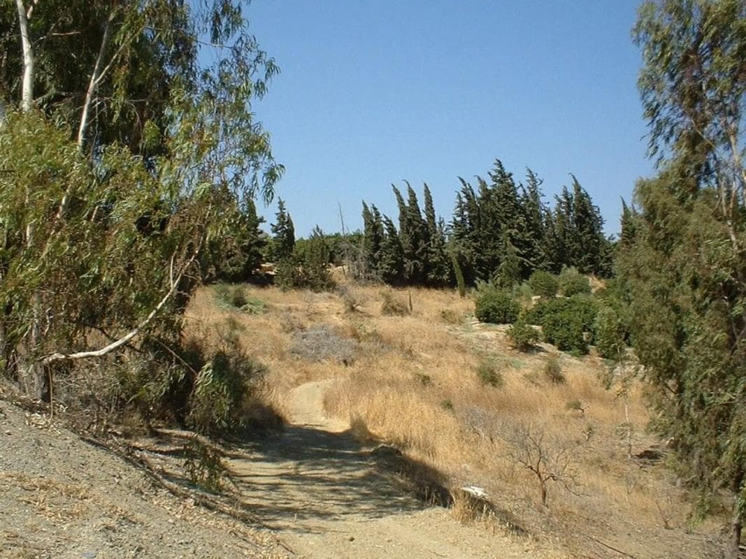 Terreno en venta en Pizarra, Malaga photo 2