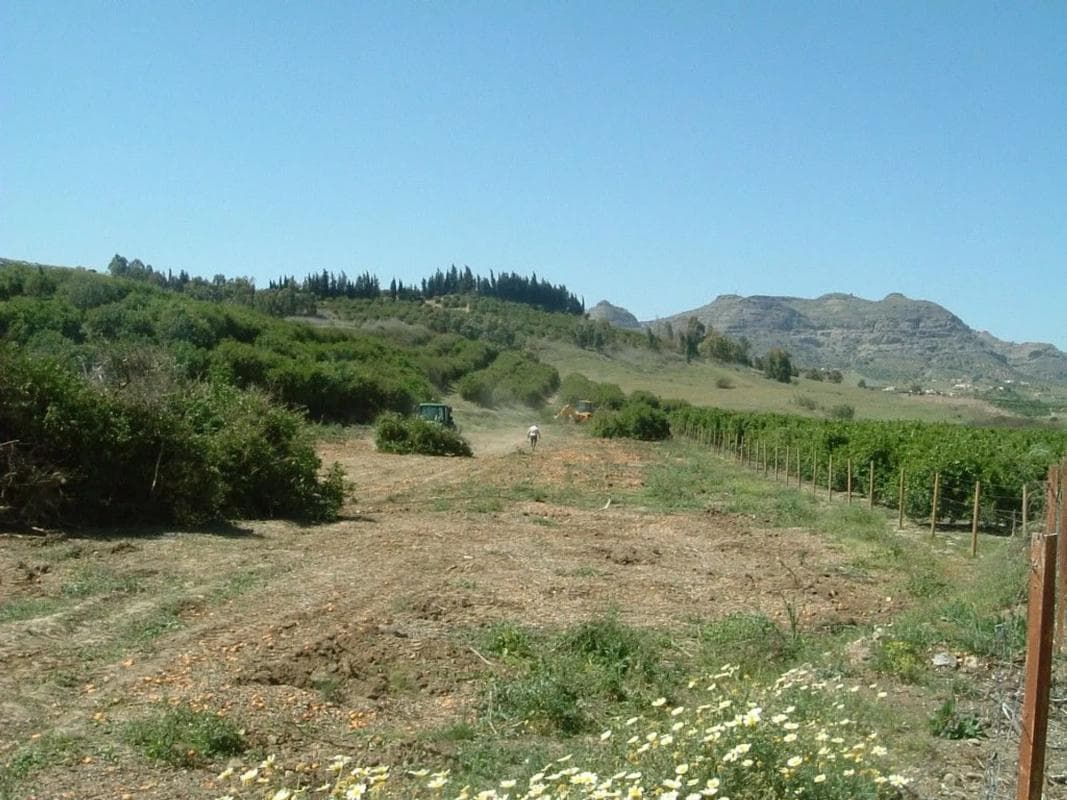 Terreno en venta en Pizarra, Malaga photo 3