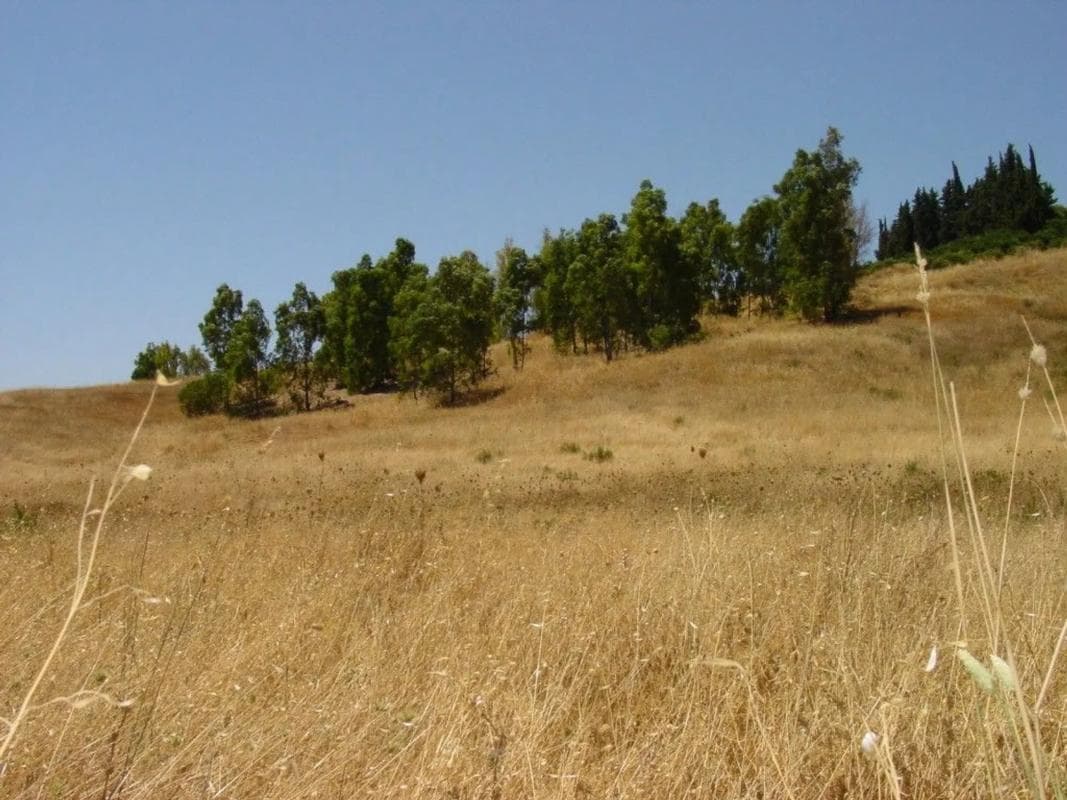 Terreno en venta en Pizarra, Malaga photo 4