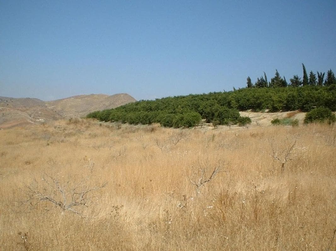 Terreno en venta en Pizarra, Malaga photo 5