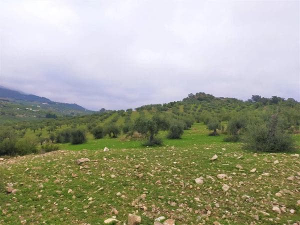 Terreno en Alozaina photo 1