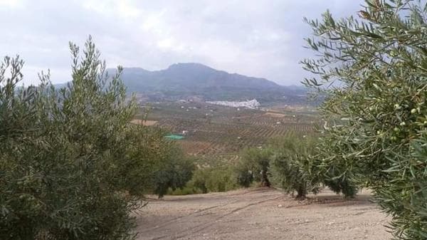 Terreno en camino callejon s/n photo 1