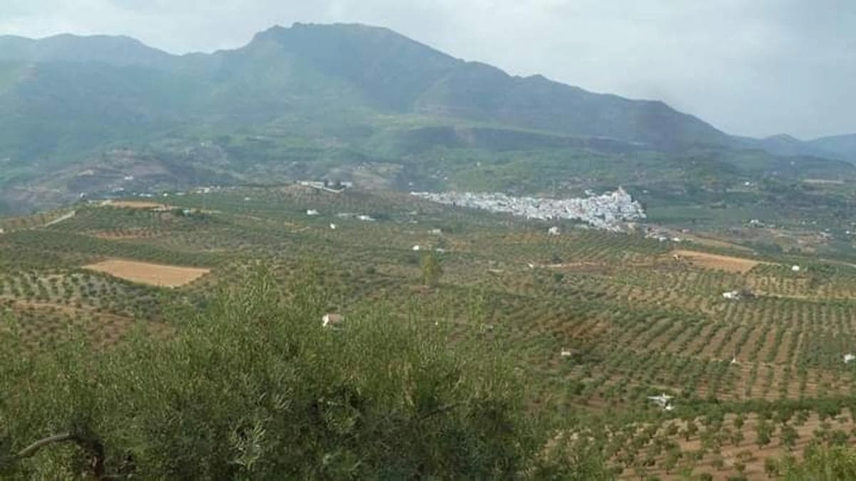 Terreno en venta en Alozaina, Malaga photo 4