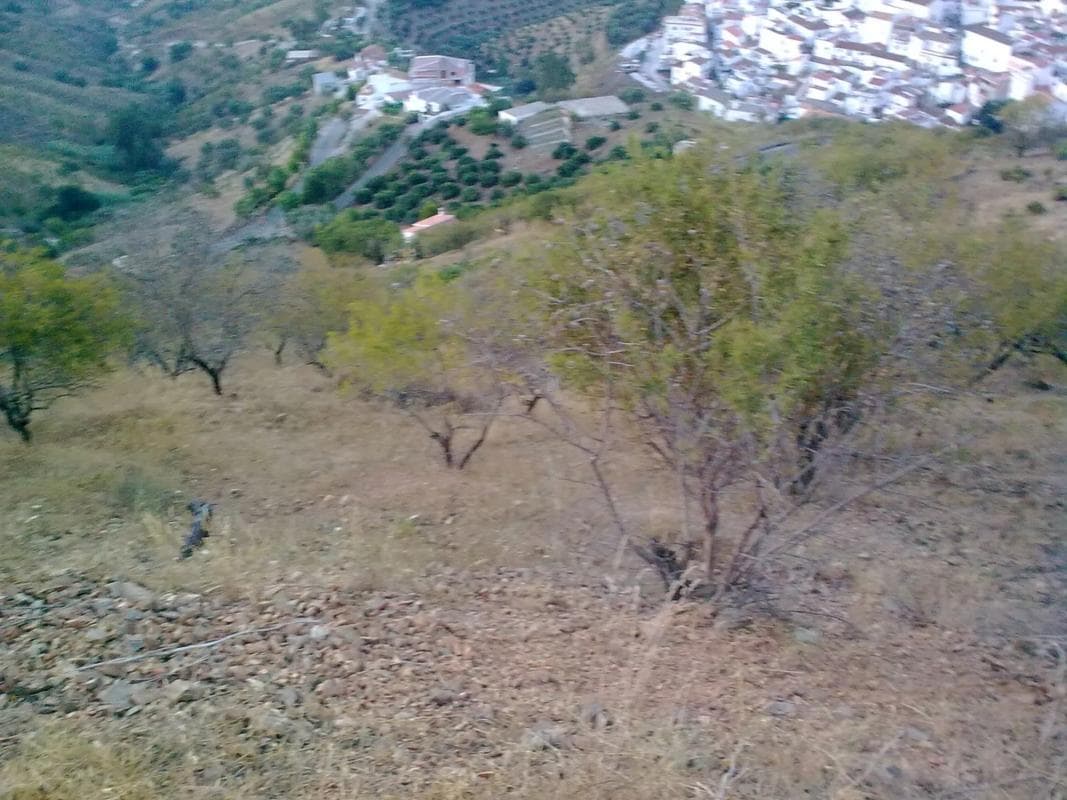 Terreno en venta en Iznate, Malaga photo 3