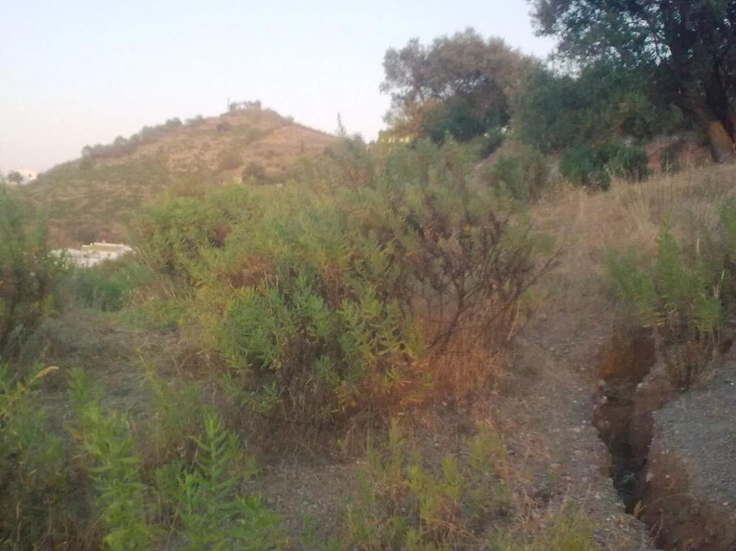 Terreno en venta en Iznate, Malaga photo 4