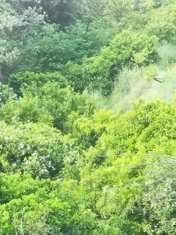Terreno en carril del Pino, 1 photo 1