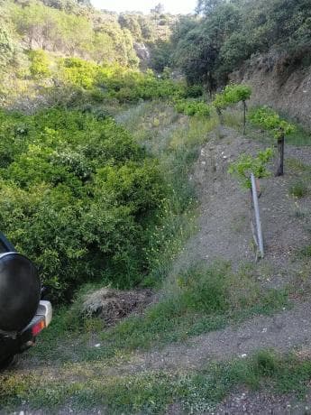 Terreno en carril del Pino, 1 thumbnail 1