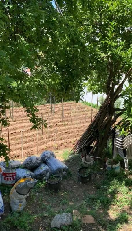 Terreno en venta en Gaucin, Malaga photo 2