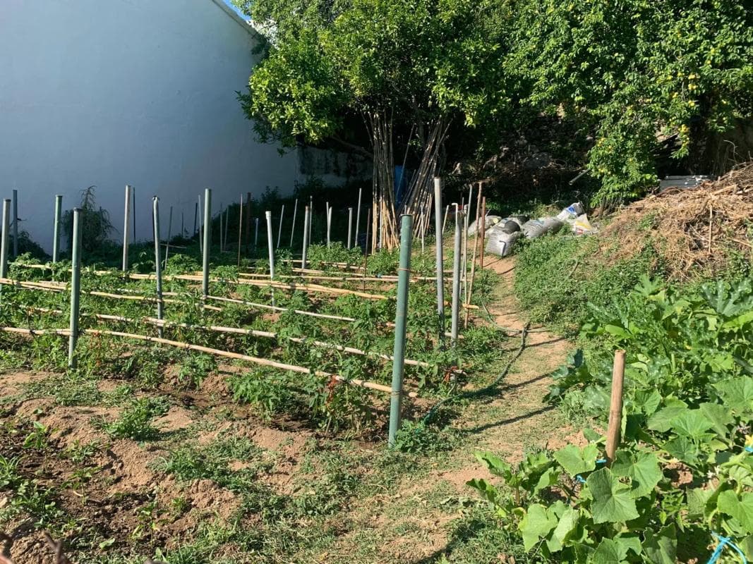 Terreno en venta en Gaucin, Malaga photo 3