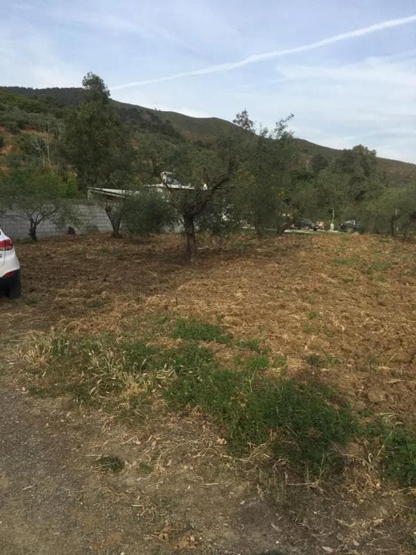 Terreno en venta en Casarabonela, Malaga photo 2