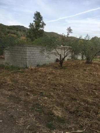 Terreno en Arroyoy de Casarabonela s/n thumbnail 2