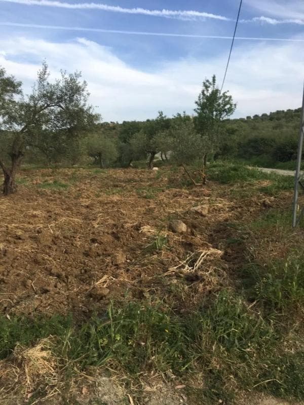 Terreno en venta en Casarabonela, Malaga photo 4