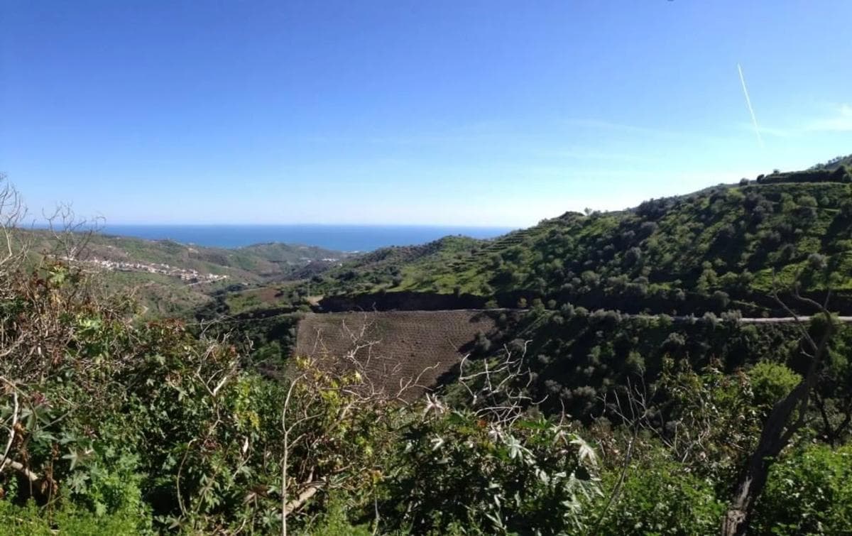 Terreno en venta en Moclinejo, Malaga photo 4