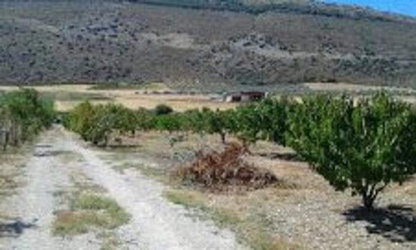 Terreno en Paraje del Cura, km 1 photo 1