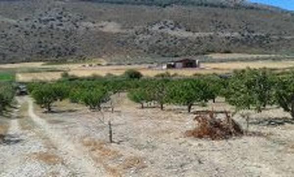 Terreno en Paraje del Cura, km 1 thumbnail 2