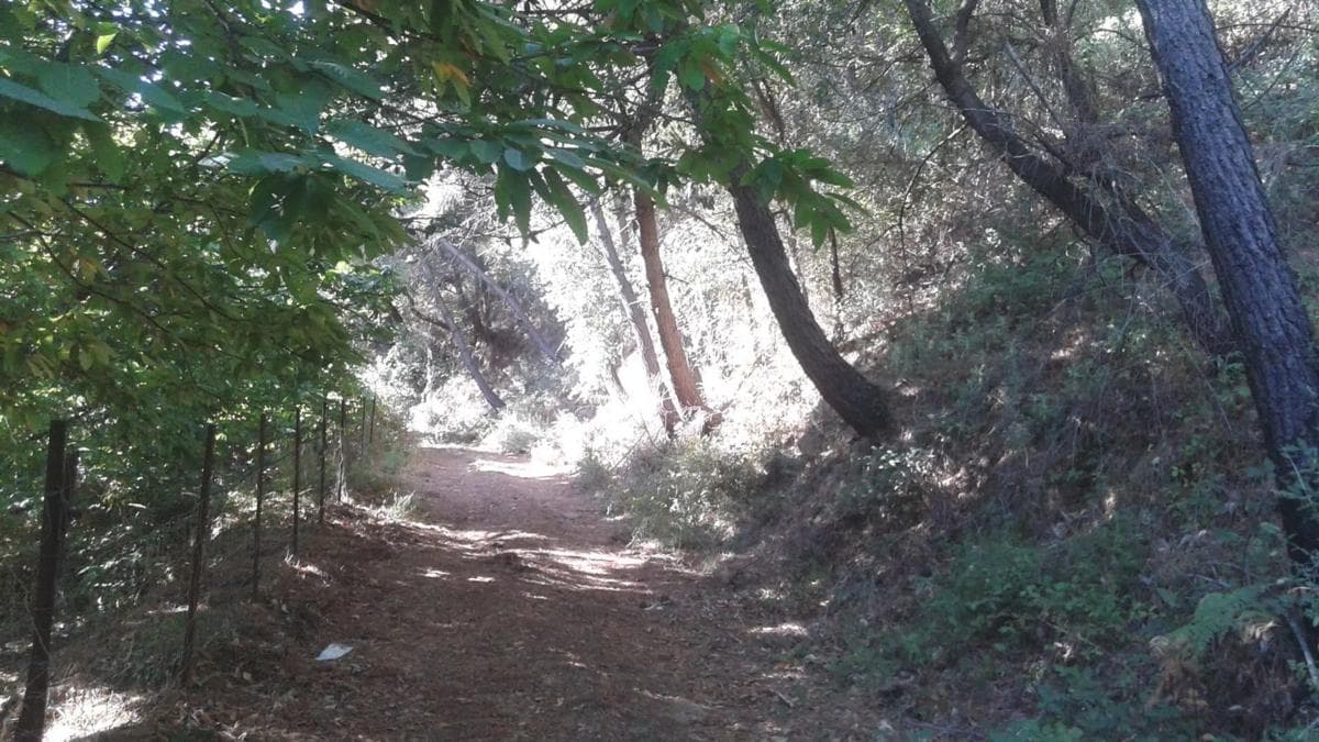 Terreno en venta en Juzcar, Malaga photo 5